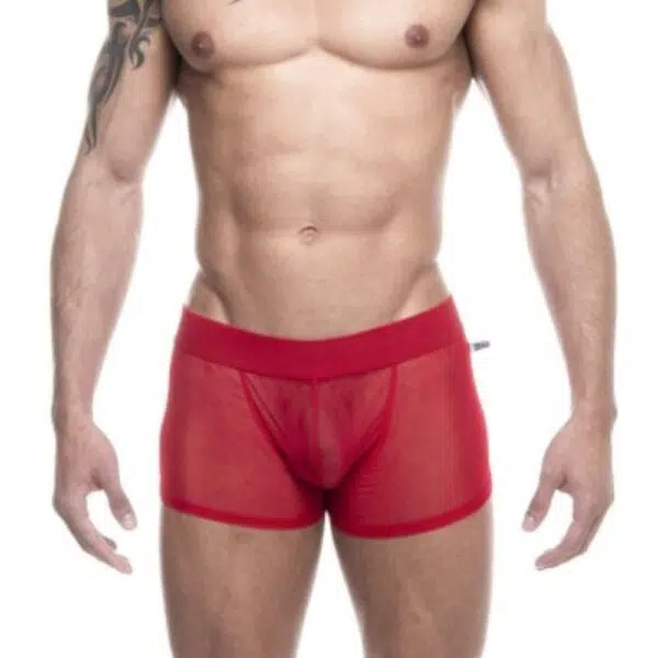 Boxer tule - Image 6
