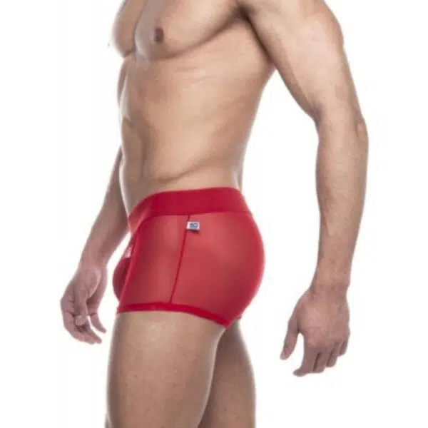 Boxer tule - Image 4