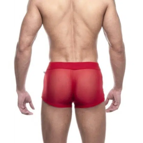 Boxer tule - Image 5