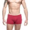 Boxer gogoboy - Imagem 4