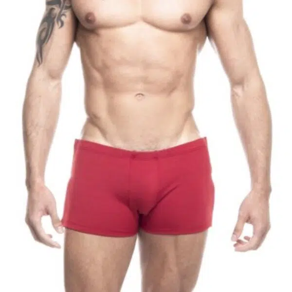 Boxer gogoboy - Image 4
