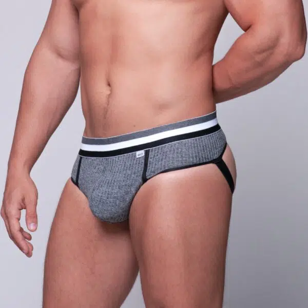 Cueca cinza frente slip jock atrás - Image 3